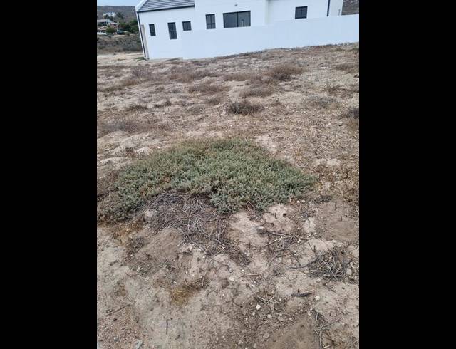 LAND FOR SALE IN ST HELENA VIEWS